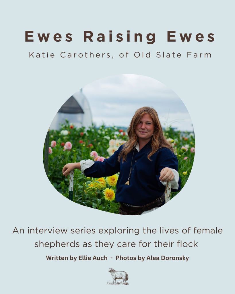Ewes Raising Ewes - Katie Carothers