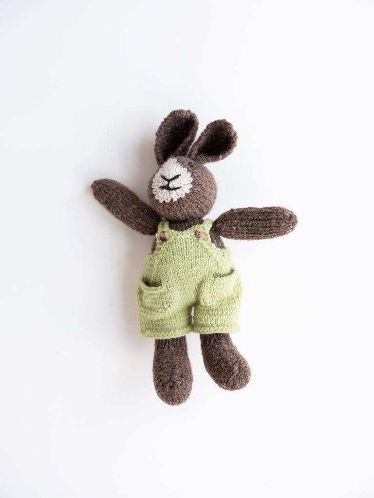 Brown Bunny in Green Overalls