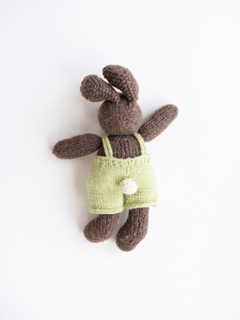 Brown Bunny in Green Overalls